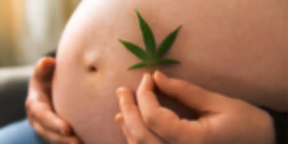 Prenatal Cannabis Exposure Associated With Mental Disorders in Children That Persist Into Early Adolescence